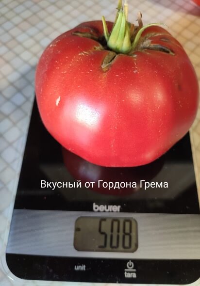 Отзыв ЛПХ