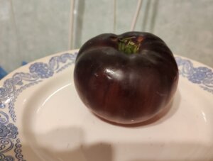 Отзыв ЛПХ
